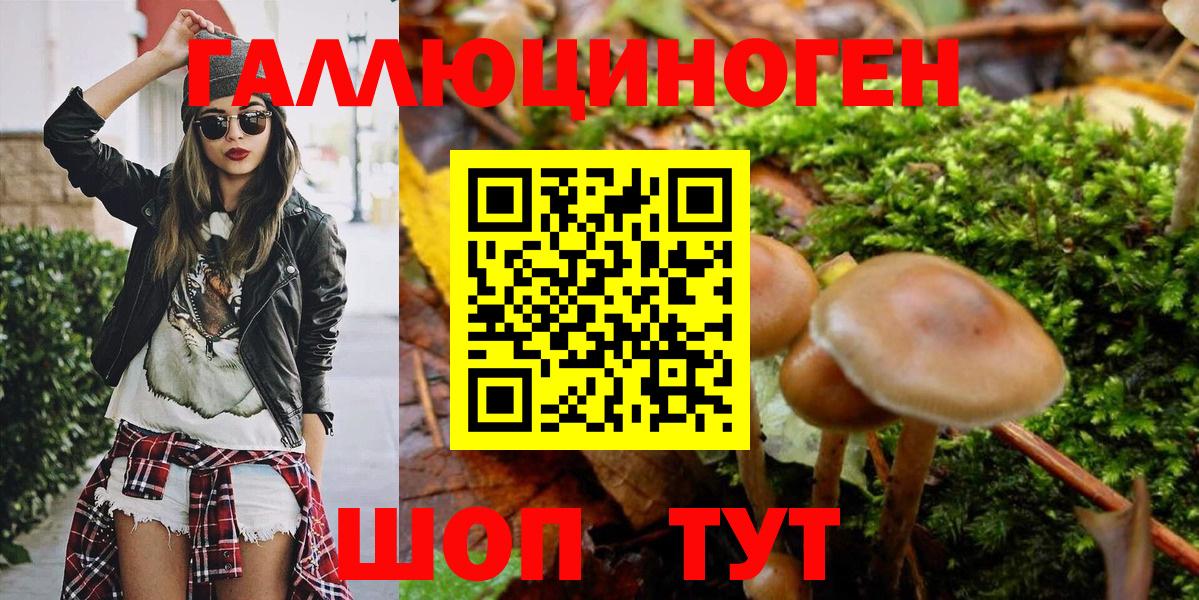 Псилоцибиновые грибы ЛСД Калуга